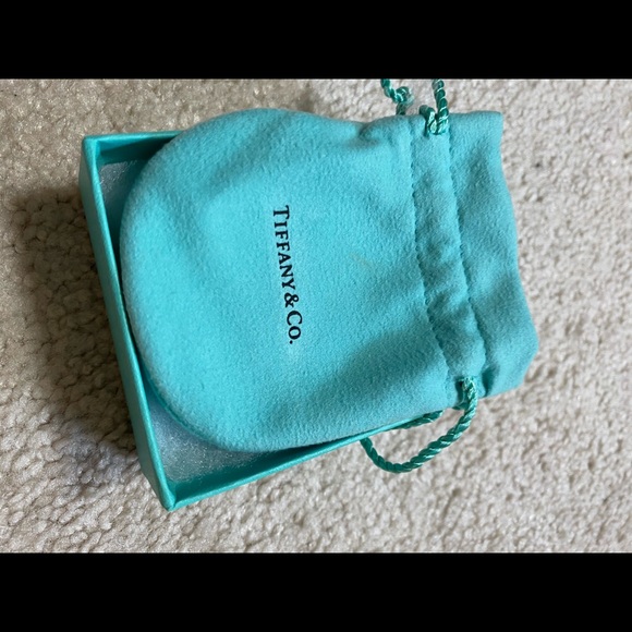 AUTHENTIC TIFFANY & CO. Oval Choker RTT - Picture 6 of 6